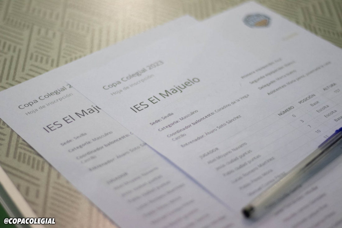 Maristas S. Fernando vs. IES El Majuelo (Masculino)