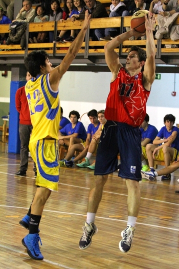 Gran suspensión de Devine