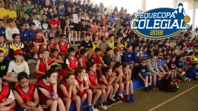 ¡Atención! Horarios, grupos y equipos participantes de la Pequecopa