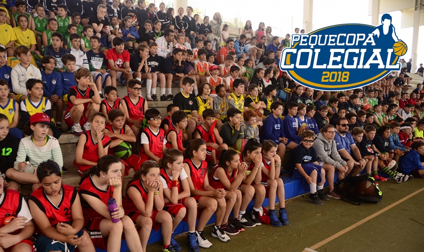 ¡Atención! Horarios, grupos y equipos participantes de la Pequecopa