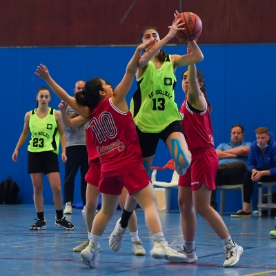 Burrellas, saltarina