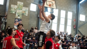 Pollo tremendo en el 