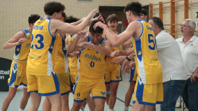 Buenísimos, boqueronísimos, colegialísimos: ¡Novaschool es el nuevo Rey!