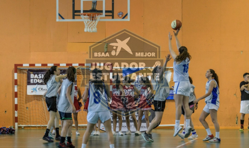 El colegio THAU acogerá los BSAA el próximo 14 de diciembre