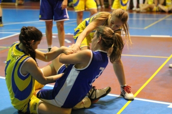 Las abejas lo pelearon