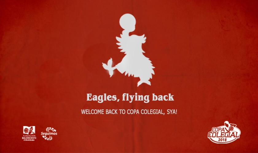 Eagles, flying back!