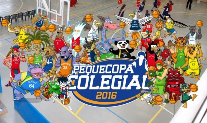 Este domingo en Veritas ...¡Pequecopa!