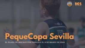 Estos son algunos de los coles inscritos en la X PequeCopa Colegial Sevilla