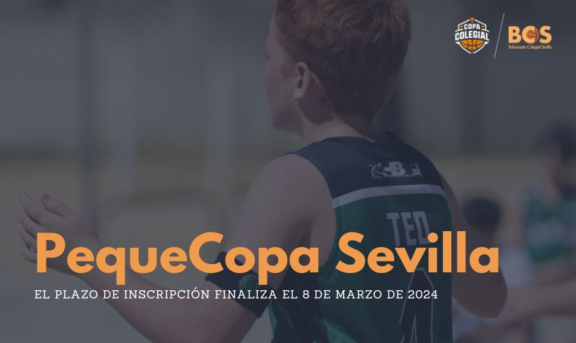 Estos son algunos de los coles inscritos en la X PequeCopa Colegial Sevilla