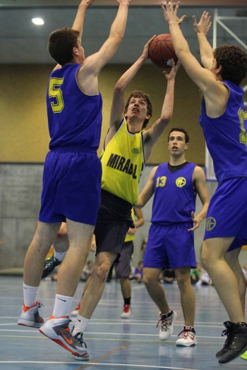 Valdivia rodeado de halcones