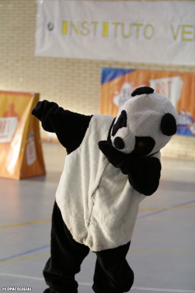 El Oso Panda, mascota de Veritas 