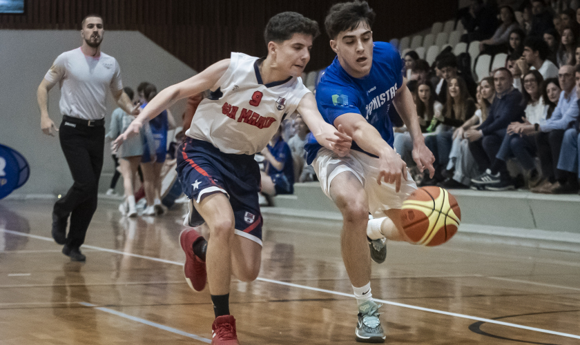 Hipos y Gallos se juegan el Estandarte 