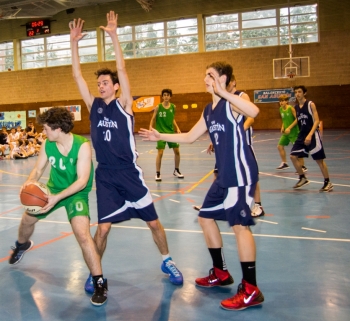 Defensa sobre un tigre