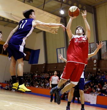 Äguila voladora vs Canguro saltarín