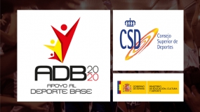 La Copa Colegial certificada por el CSD en el Plan 2020 de Apoyo al Deporte Base 