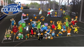 La Pequecopa a punto en Irlandesas