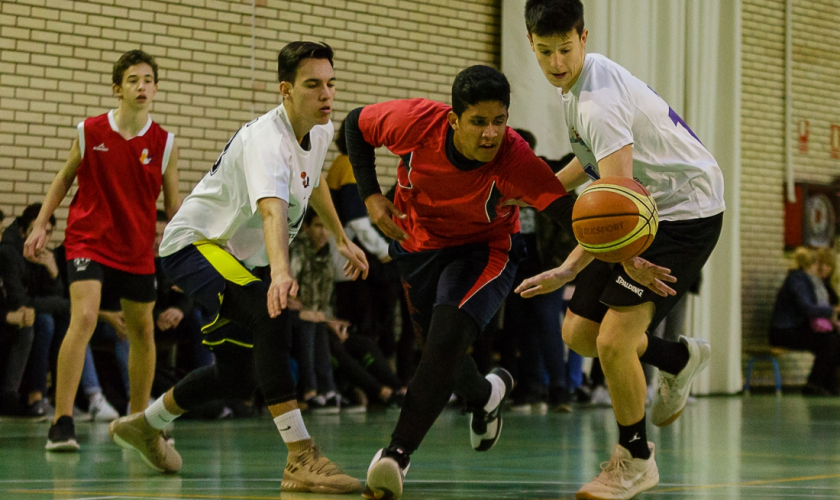 Los Búhos retoman el vuelo