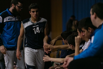 Los Leones no podrán reinar este año