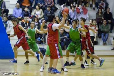 Los murciélagos despliegan sus alas en defensa