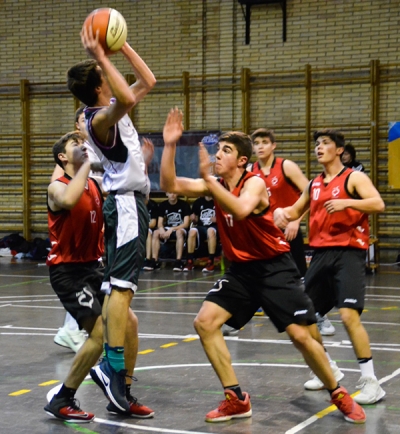 Los Osos se hicieron grandes