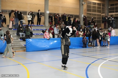 Osos Panda, emocionados