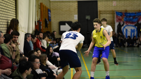 Los Tiburones se ahogan en la orilla