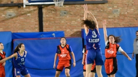 Unas búhos muy rapaces para unas jóvenes leonas