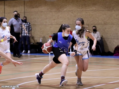 Las Delfinas duras al aro