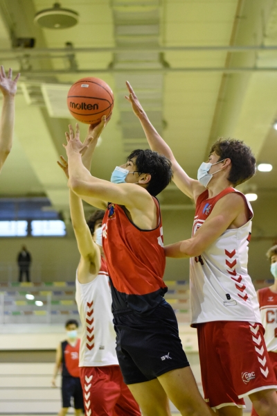 La defenda ferrea local