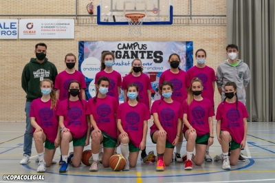 Plantilla Los Sauces