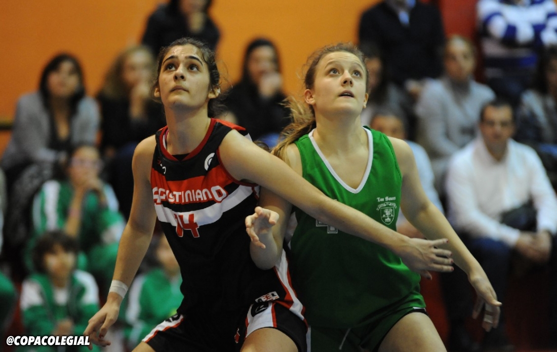 Los Sauces Torrelodones vs. Agustiniano (Femenino)
