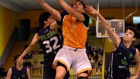 Los Tigres vencen en un gran duelo ofensivo ante Los Caimanes