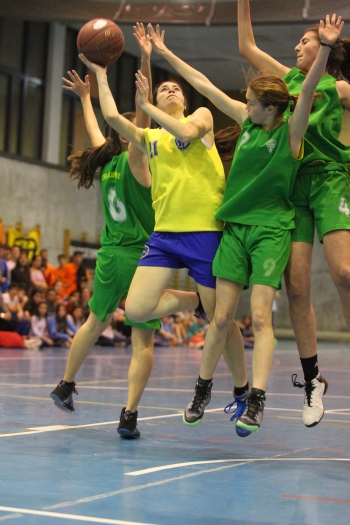 La Defensa del Tigre en acción