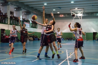 Entrando a canasta con garra