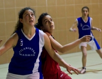 Osas ganan a Lobas