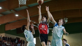 El Rey León desarma a los Centuriones