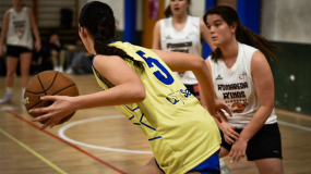 Rinos: credenciales presentadas