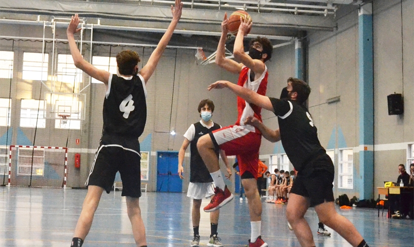 Rinos vs Pandas: dos estilos para llegar hasta el Estandarte