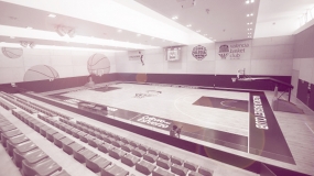 Soñando con el Estandarte Único