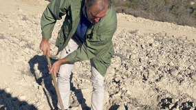 Tres árboles apadrinados por la Copa Colegial ya lucen en "El Bosque de los zaragozanos"