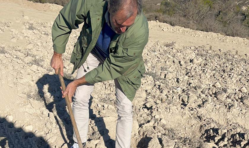 Tres árboles apadrinados por la Copa Colegial ya lucen en "El Bosque de los zaragozanos"