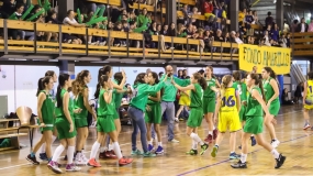 Un gran Irlandesas asalta La Colmena 