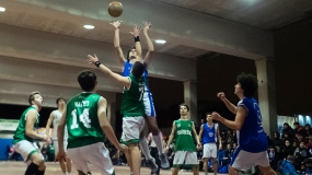 Un oso viene a verme