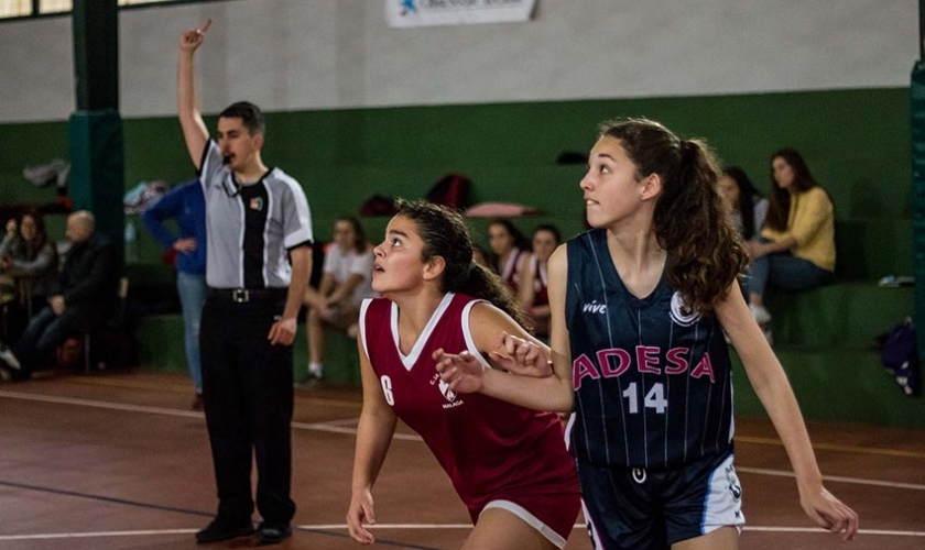 Ya hay fechas oficiales para la Copa Colegial en Málaga