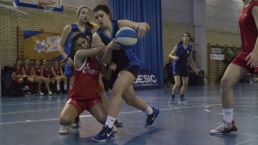 Basket Turtles pisan fuerte