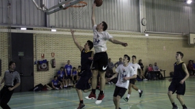 Golpe en la mesa de los Raptors