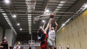 Las Leonas abren el caparazón de las Turtles