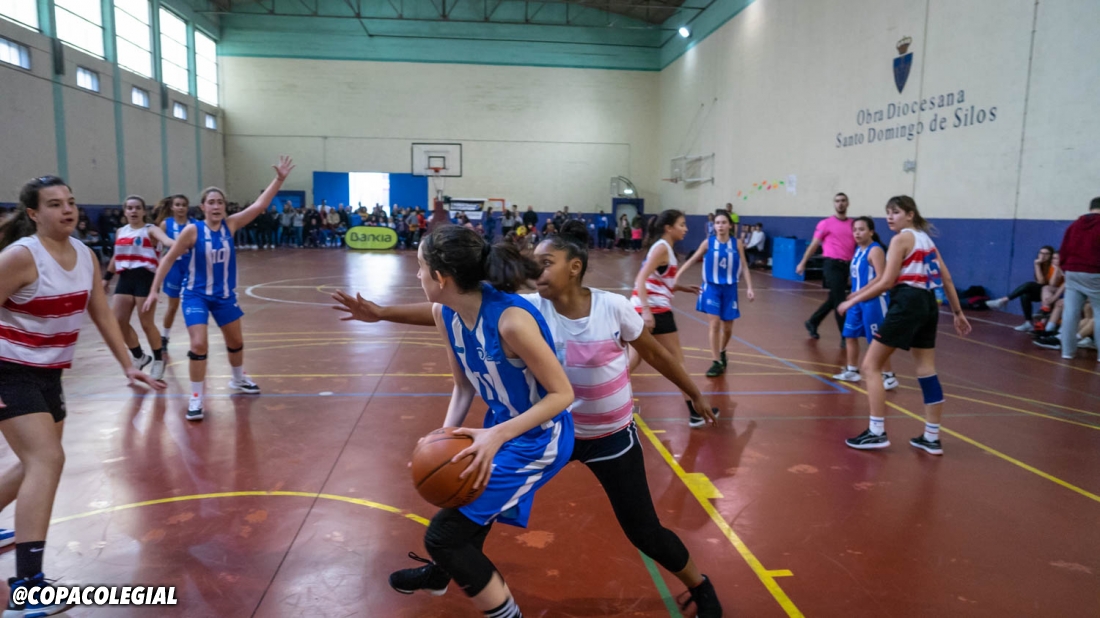 Santo Domingo de Silos vs. IES Torre de los Espejos (Femenino)